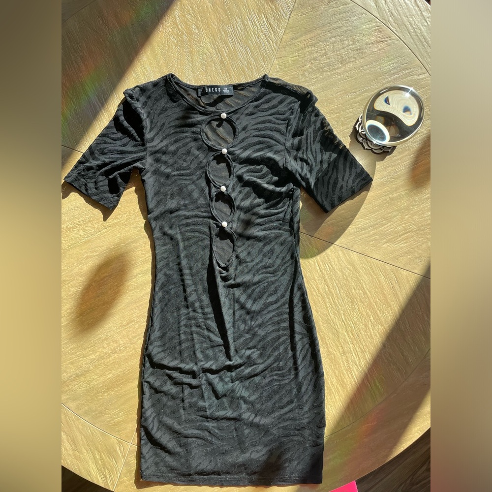 Lioness Sheer Dress